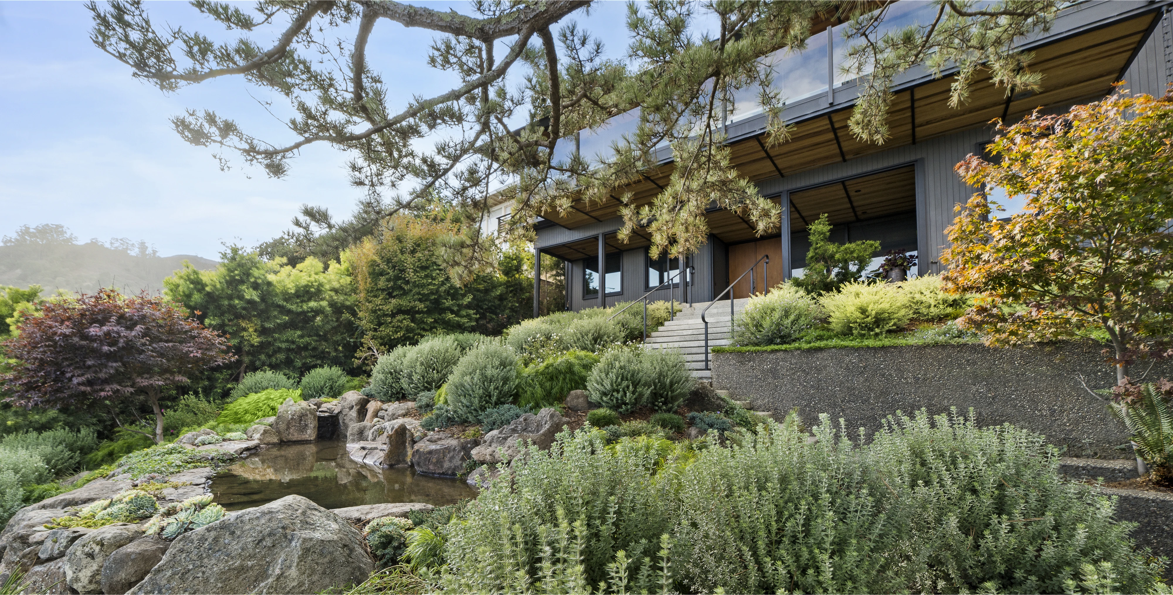 Midcentury Sausalito front garden