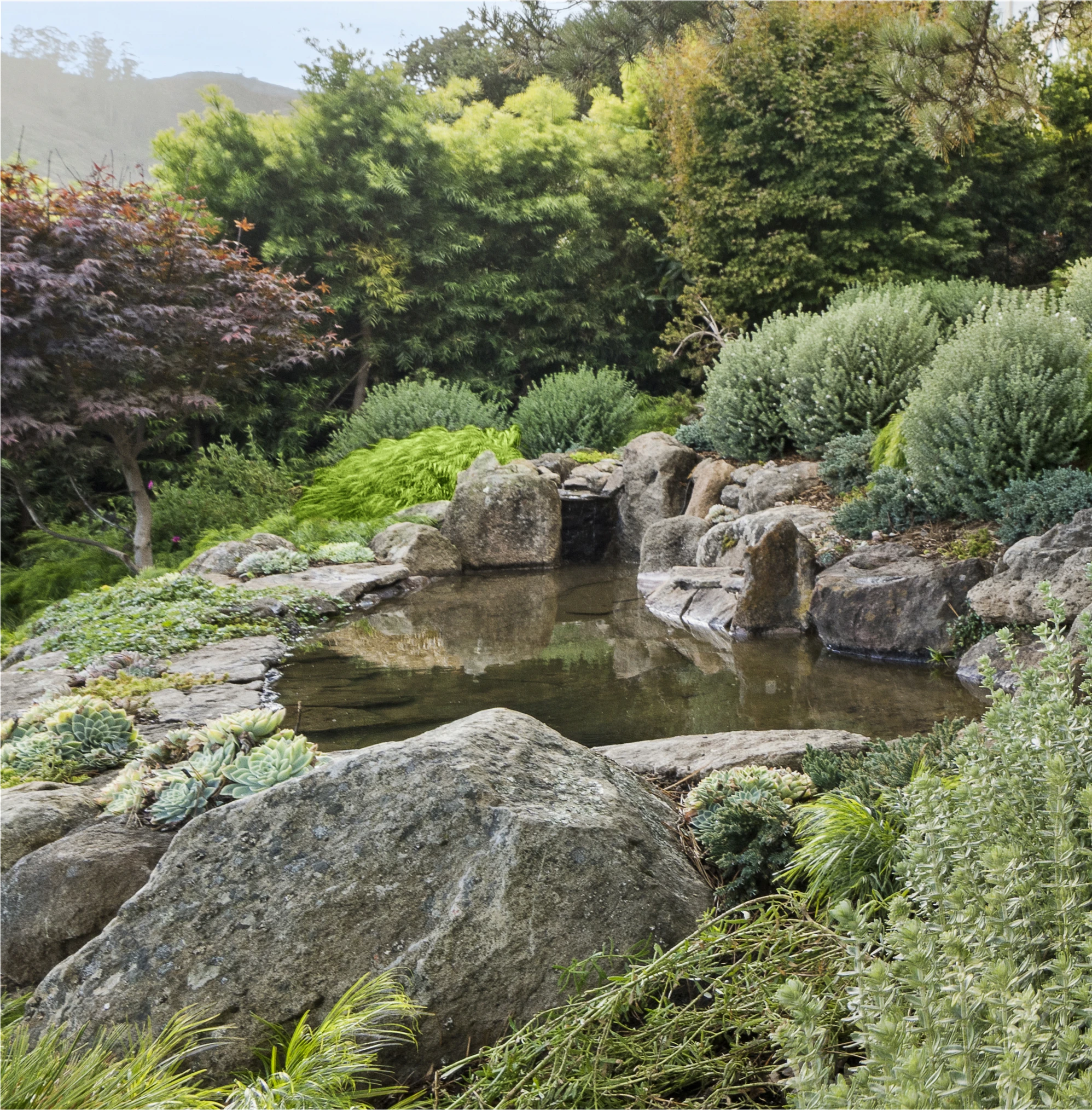 Front garden pond