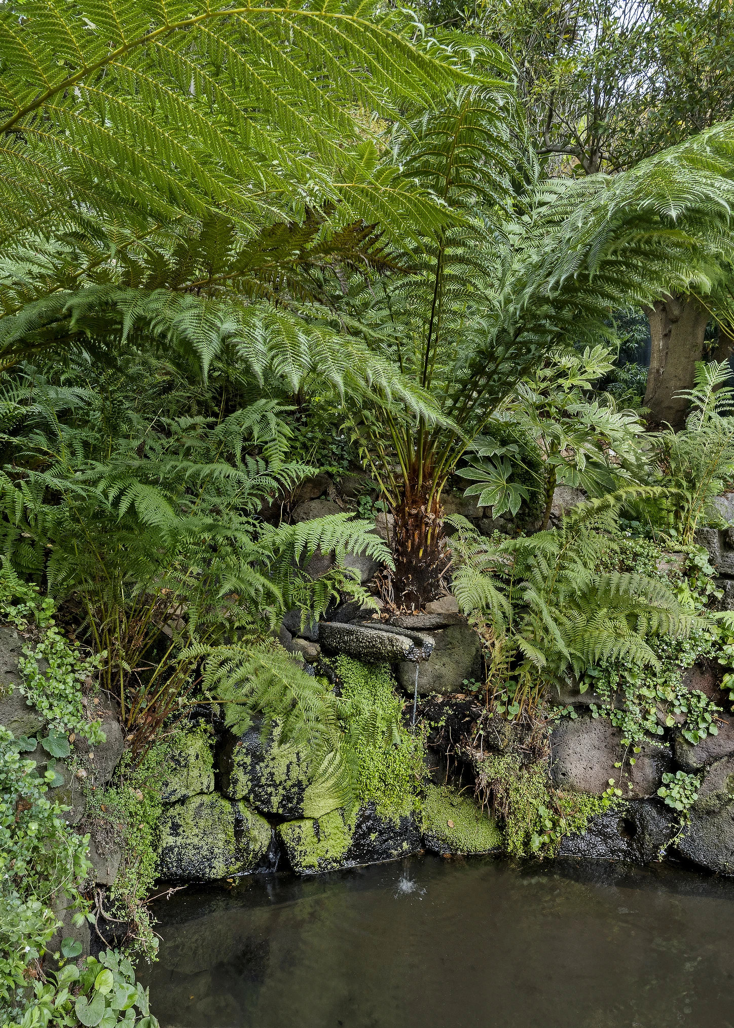 Hillside stream in Halprin style