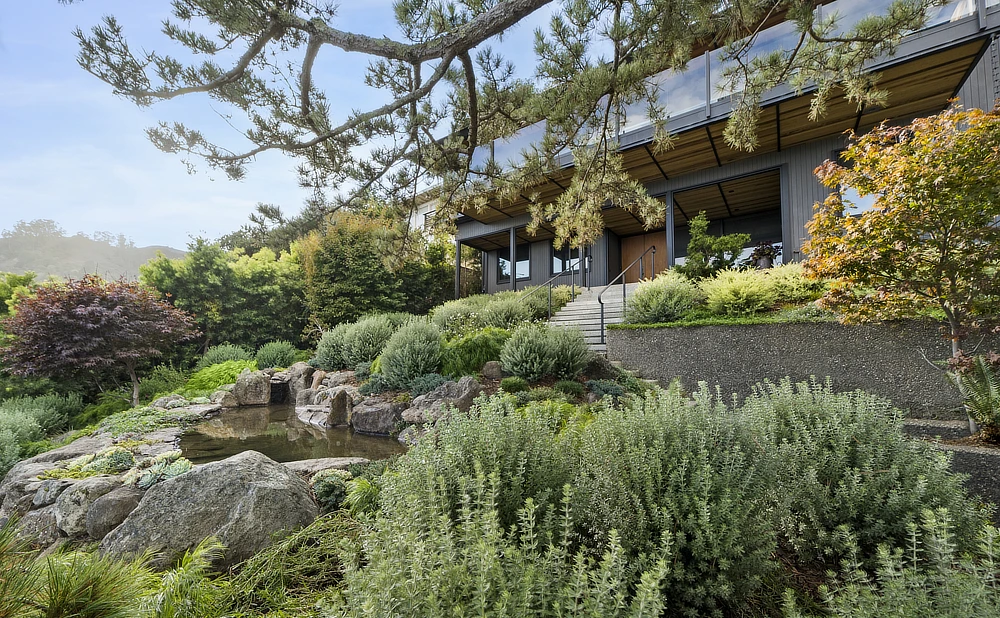 Midcentury Sausalito