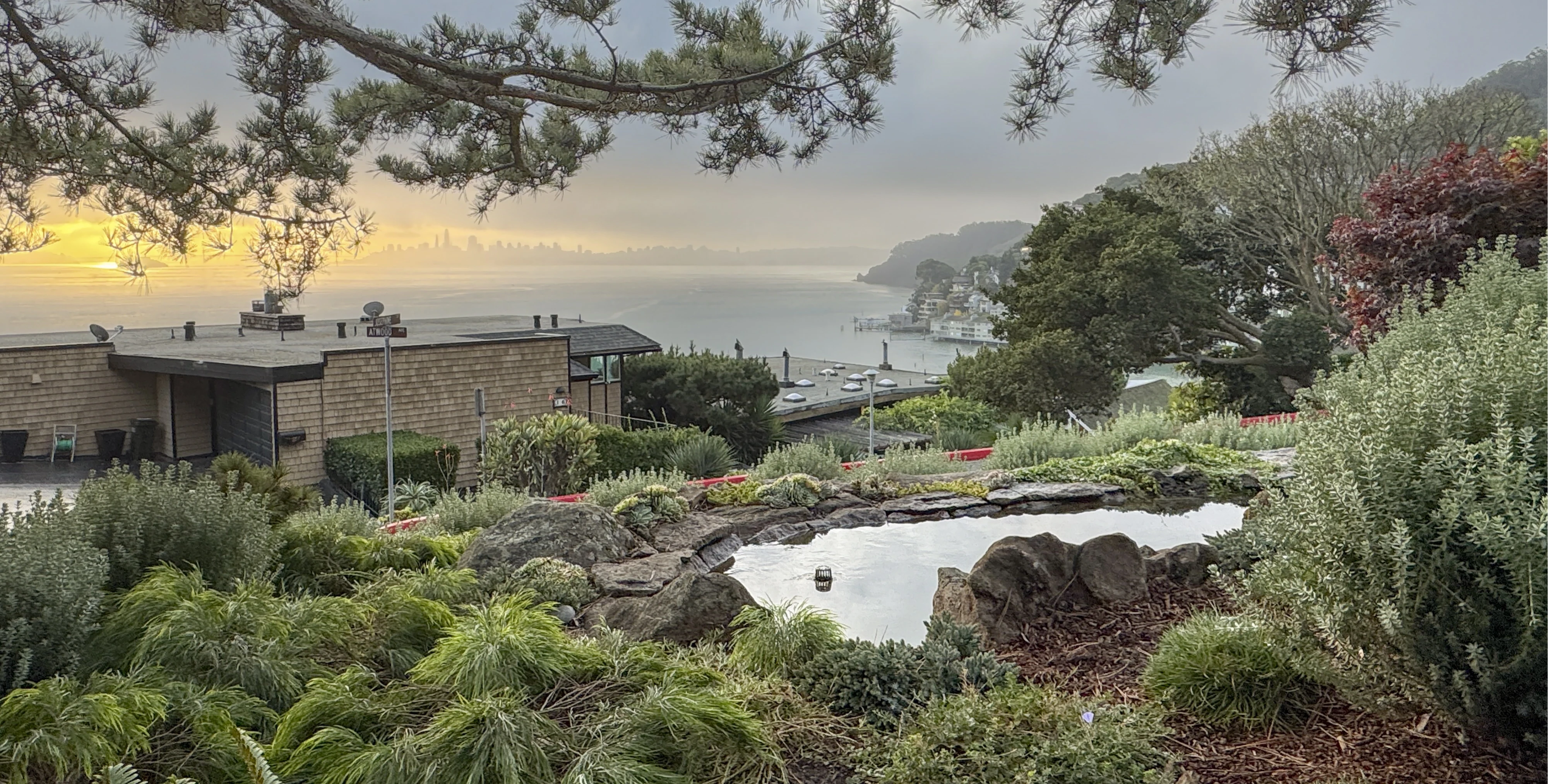 Front garden pond with views across the Bay to San Francisco