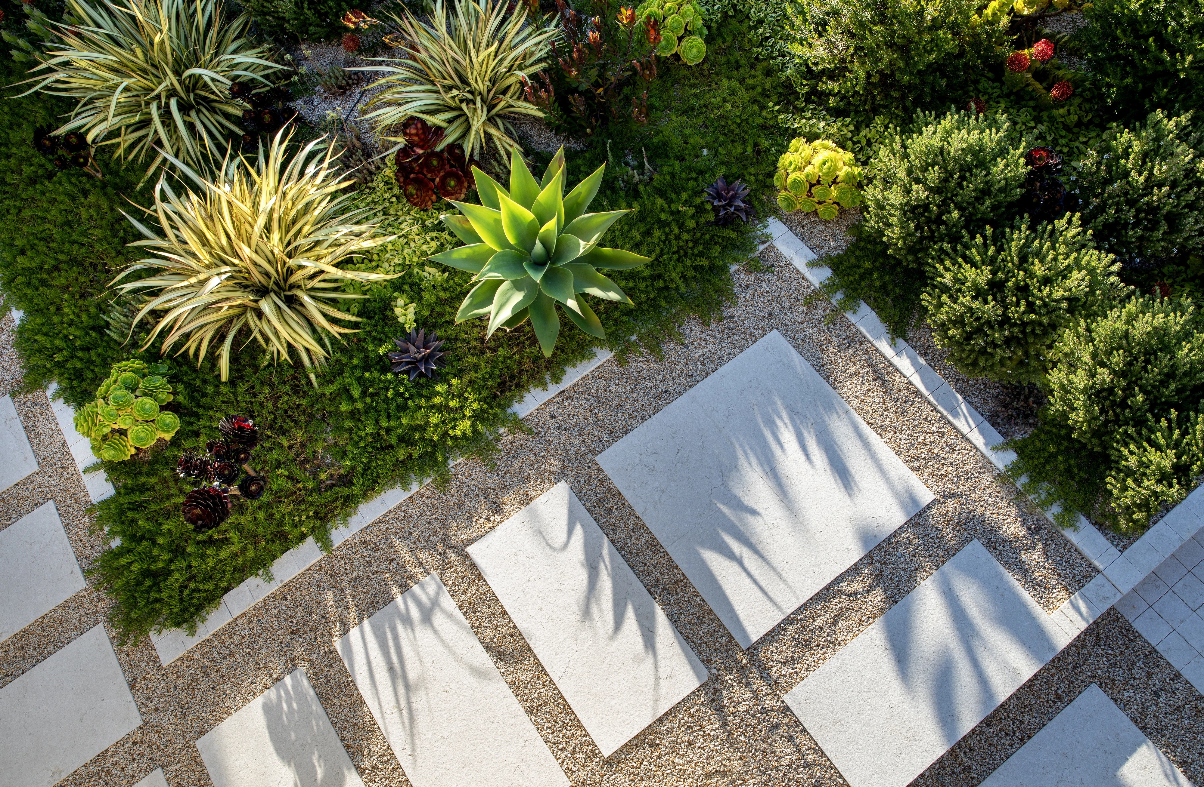 Aerial view of the Stinson Beach garden