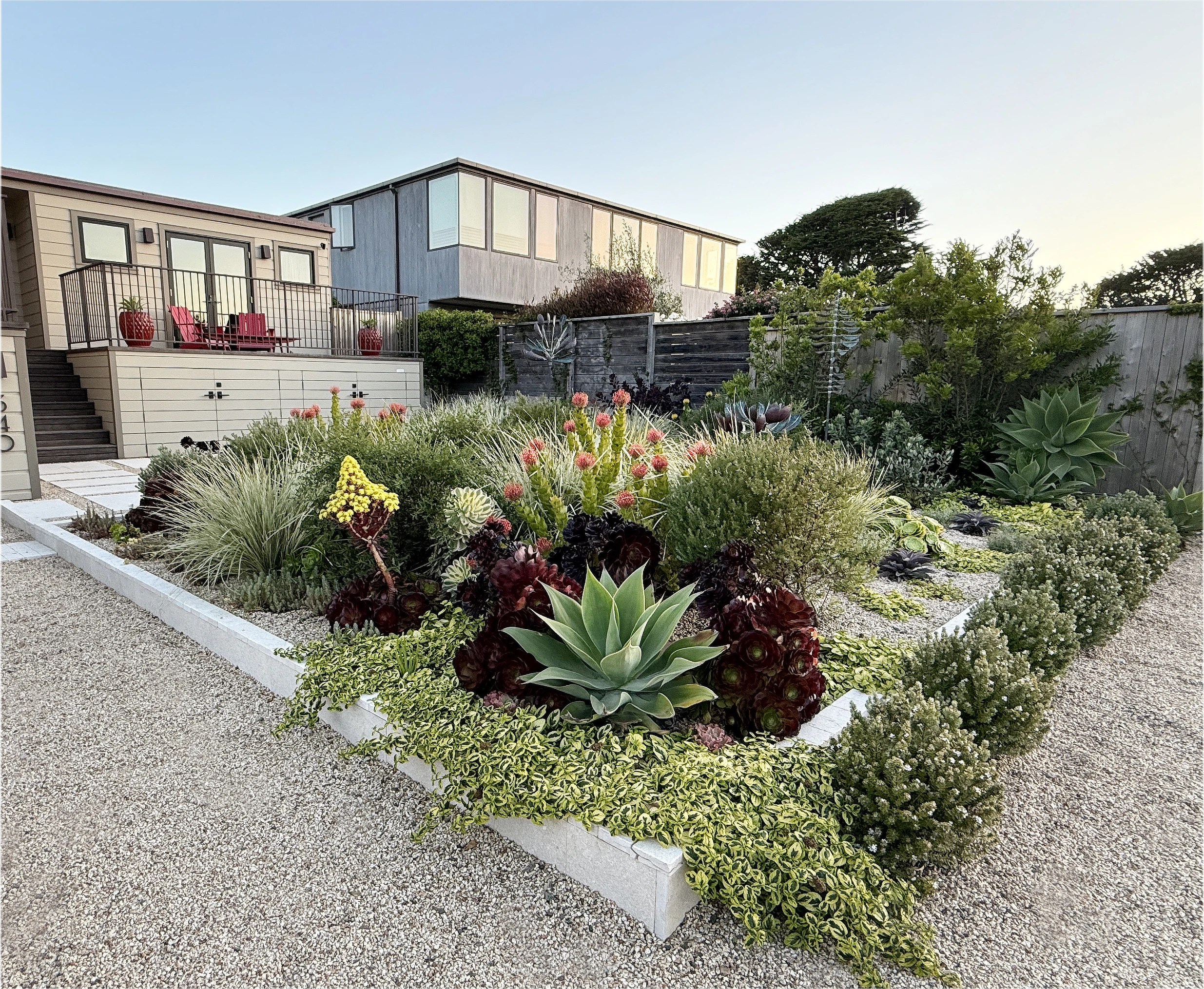 Backyard garden
