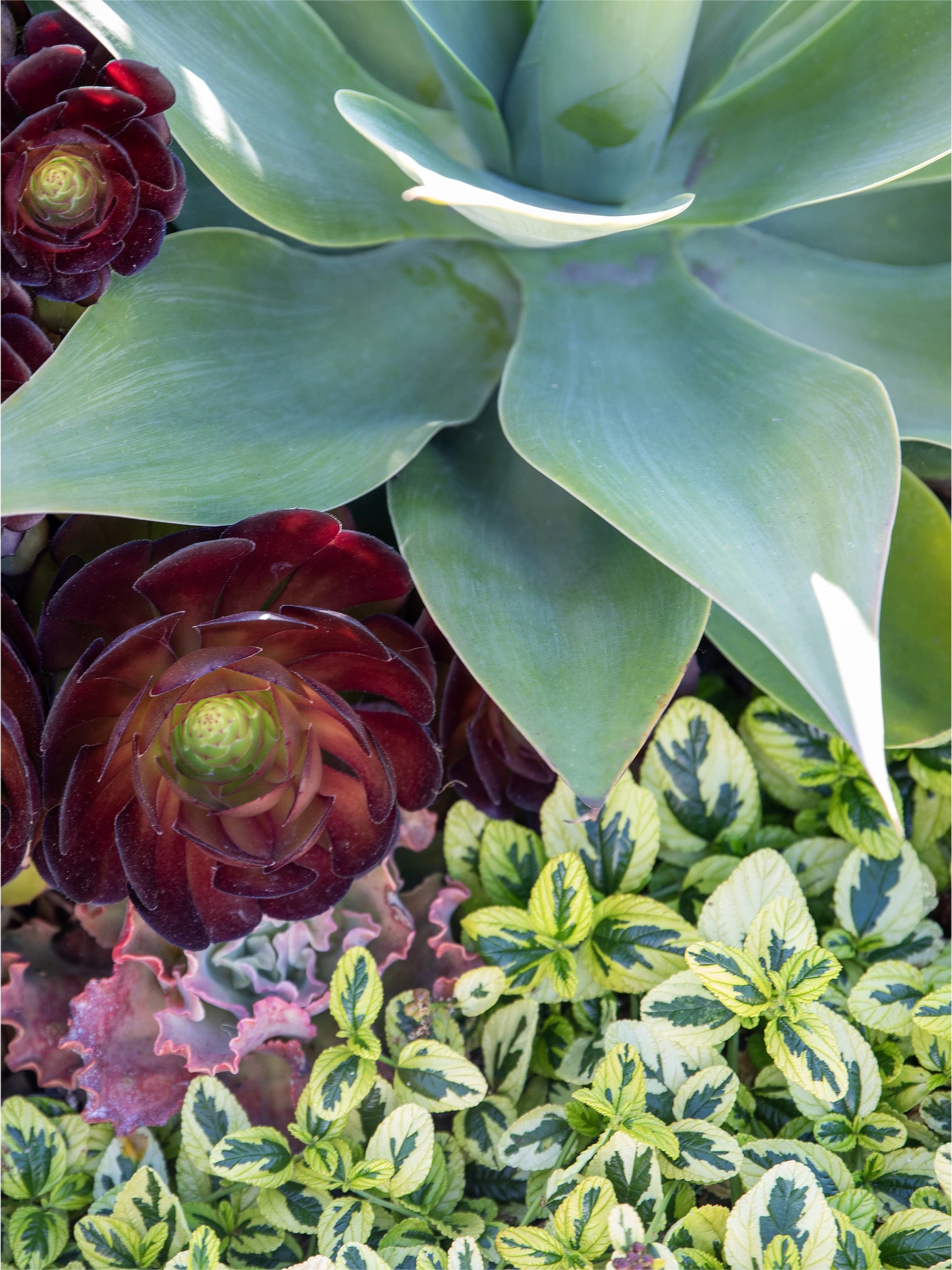 Garden path detail