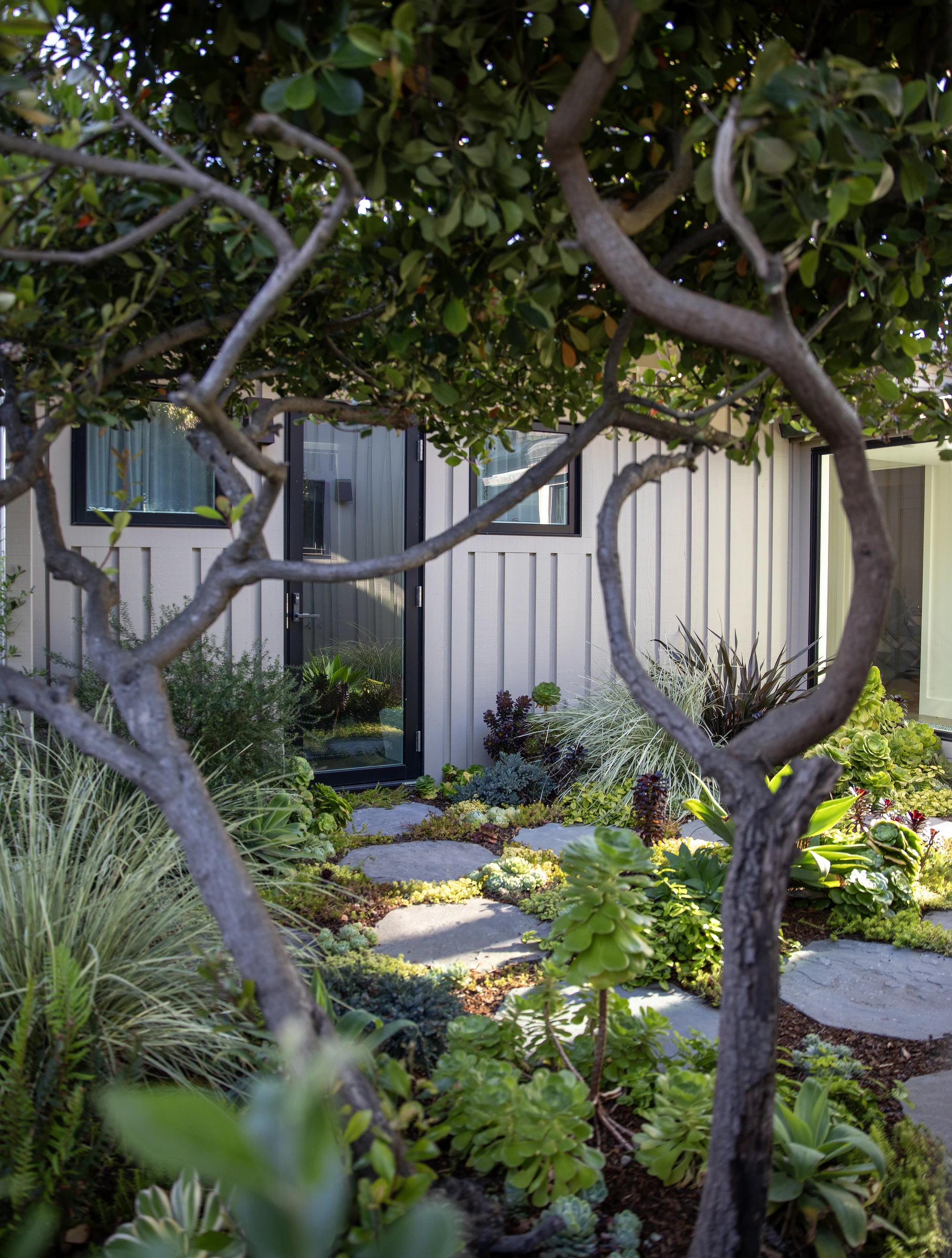 Succulent planting